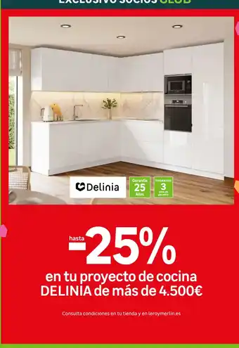 Delinia proyecto de cocina