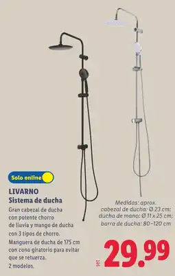 Lidl Livarno sistema de ducha oferta