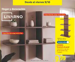 Lidl Livarno estantería de pared oferta