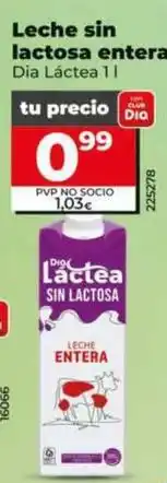 Dia Dia lactea - leche sin lactosa entera oferta