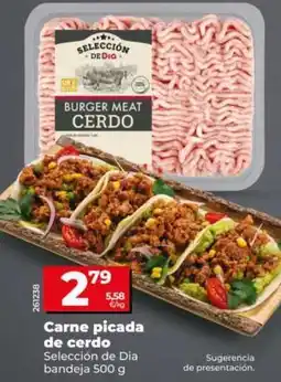 Dia Seleccion de dia - carne picada de cerdo oferta