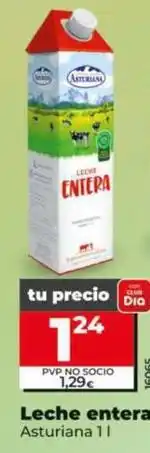 Dia Asturiana - leche entera oferta