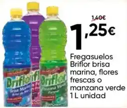 FROIZ Briflor brisa marina, flores frescas o manzana verde oferta