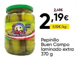 FROIZ Pepinillo Buen Campo laminado extra oferta