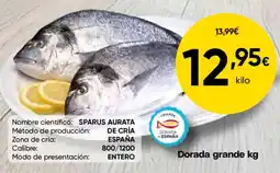 FROIZ Dorada grande oferta