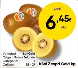 FROIZ Kiwi Zespri Gold oferta