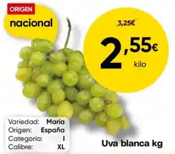 FROIZ Uva blanca oferta