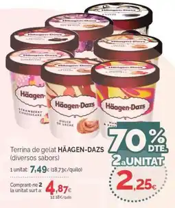 Condis Häagen-Dazs terrina de gelat diversos sabors oferta