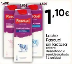 FROIZ Leche Pascual oferta