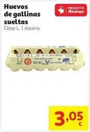 Alcampo Alcampo - huevos de gallinas oferta