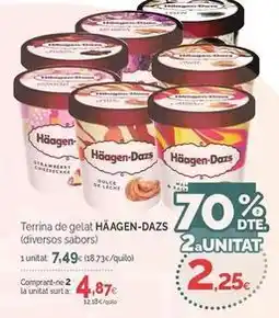Condis Häagen-dazs - terrina de gelat oferta