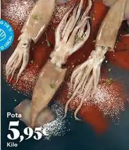 Gadis Pota oferta