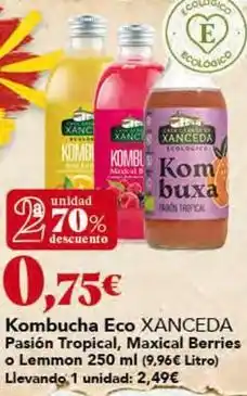 Gadis Xanceda - kombucha eco oferta