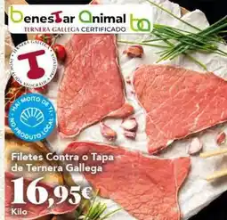 Gadis Gallega - filetes contra o tapa de ternera oferta