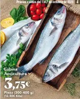 Gadis Lubina acuicultura oferta
