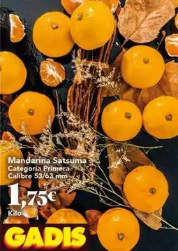Gadis Mandarina satsuuma categoria primera oferta