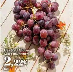 Gadis Uva red globe categoria primera oferta