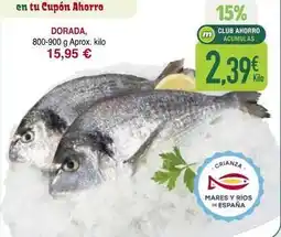 Masymas Dorada - dorada oferta