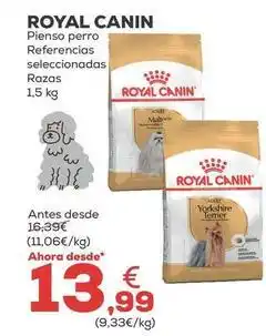 Kiwoko Royal canin - pienso perro oferta