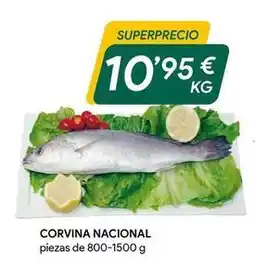 Masymas Corvina nacional oferta
