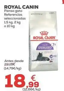 Kiwoko Royal canin - pienso gato oferta