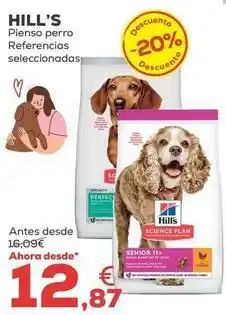 Kiwoko Hill's - pienso perro oferta