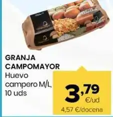 Autoservicios Familia Granja campomayor - huevo campero oferta