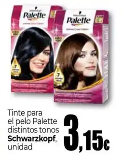 UDACO Schwarzkopf Palette oferta