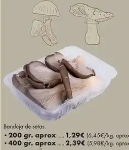 Supermercados Lupa Bandeja de setas oferta