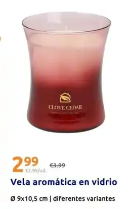 Action Candra - vela aromatica en vidrio oferta