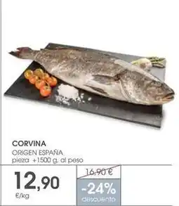 Supermercados Plaza Origen - corvina oferta