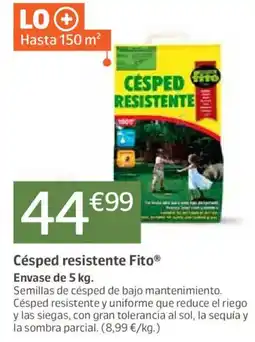 Jardiland Césped resistente Fito oferta