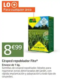 Jardiland Césped repoblador Fito oferta