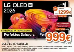 Expert lg oled ai 55" 55b6elc oferta