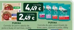 Hiperber purina comida de perro adulto de pollo o buey en tarrinas oferta