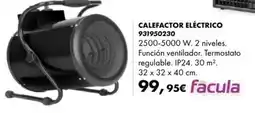 Coinfer facula calefactor eléctrico oferta