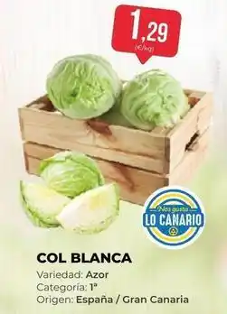 SPAR Gran Canaria Origen - col blanca oferta