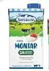 Spar La Palma La asturiana - nata para monta oferta