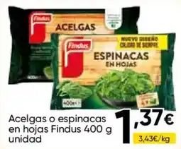 Cash FROIZ Findus espinacas en hojas oferta