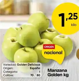 Cash FROIZ Manzana Golden oferta