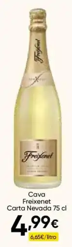 Cash FROIZ Freixenet Cava Carta Nevada oferta