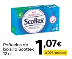 Cash FROIZ Pañuelos de bolsillo Scottex oferta