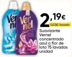 Cash FROIZ Vernel suavizante concentrado oferta