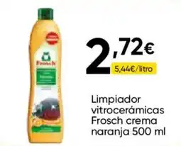 Cash FROIZ Frosch limpiador vitrocerámicas crema naranja oferta