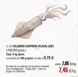 Abordo Origen - calamar chipirón (playa) (iqf) oferta