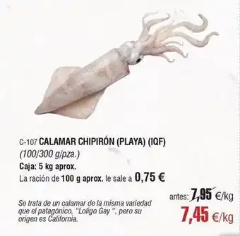 Origen - calamar chipirón (playa) (iqf)
