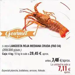 Abordo Gourmet - langosta roja mediana cruda oferta