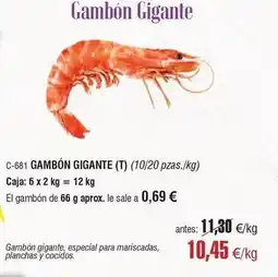 Abordo Gambon gigante oferta