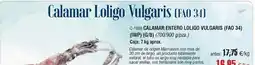 Abordo Origen - calamar loligo oferta