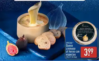 Special Queso cremoso al horno con especias